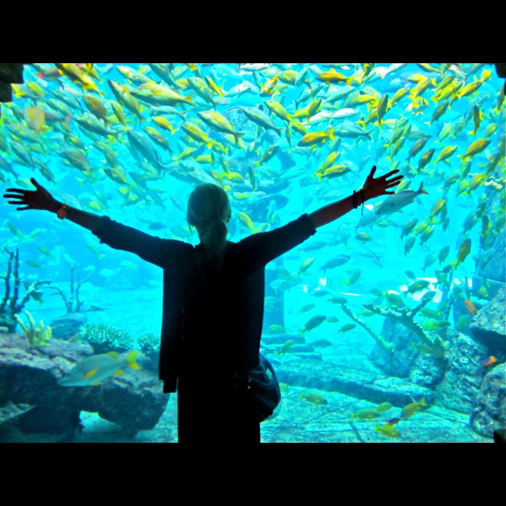 Meet your Posher, Elizabeth